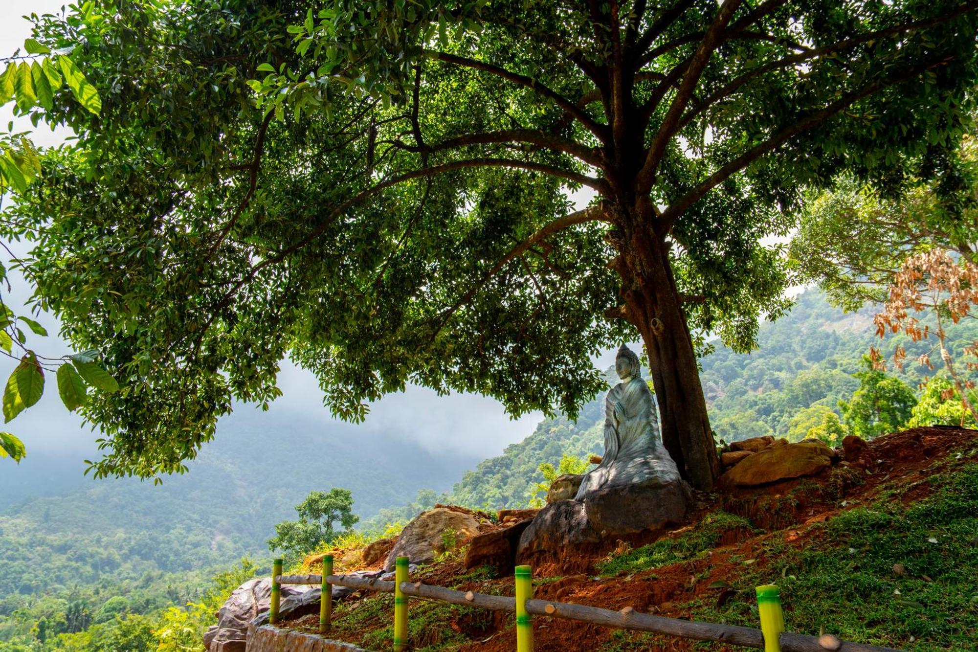 Karimb Resorts Vallikavungal Екстериор снимка